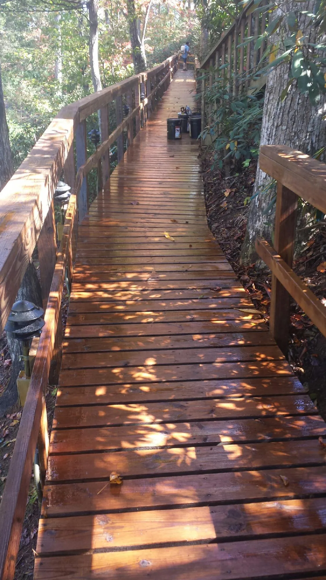Freshly stained wood walkway winding through the woods in Achille